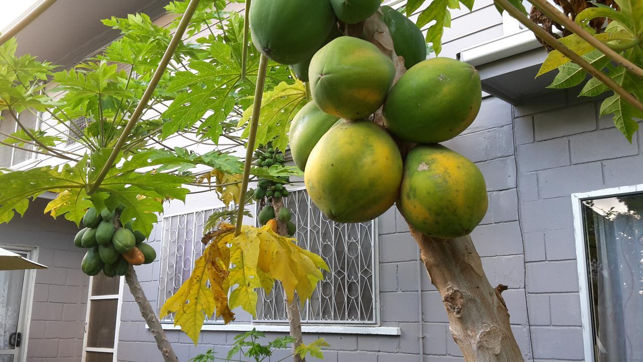 黎明住宿加早餐旅馆 努库阿洛法 外观 照片